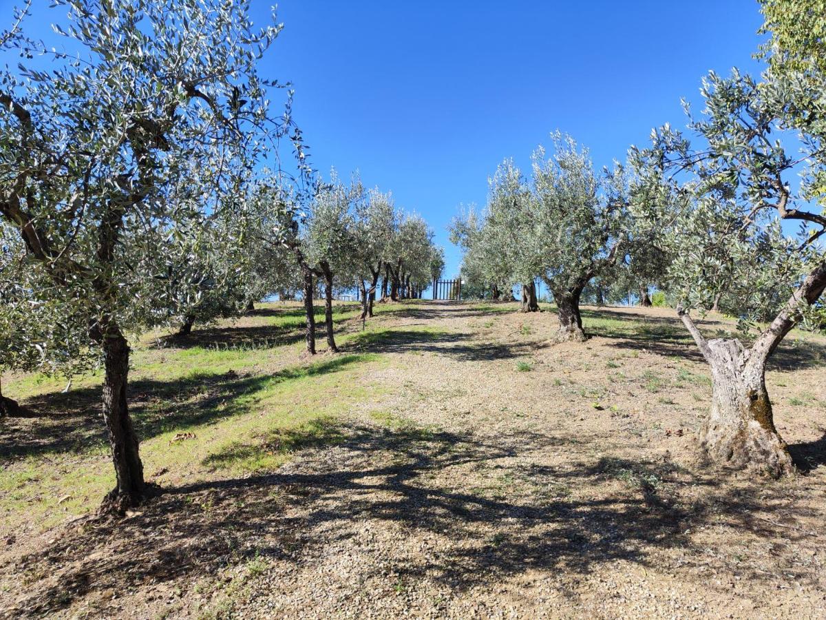 Agriturismo Sommassa 基安蒂格雷夫 外观 照片