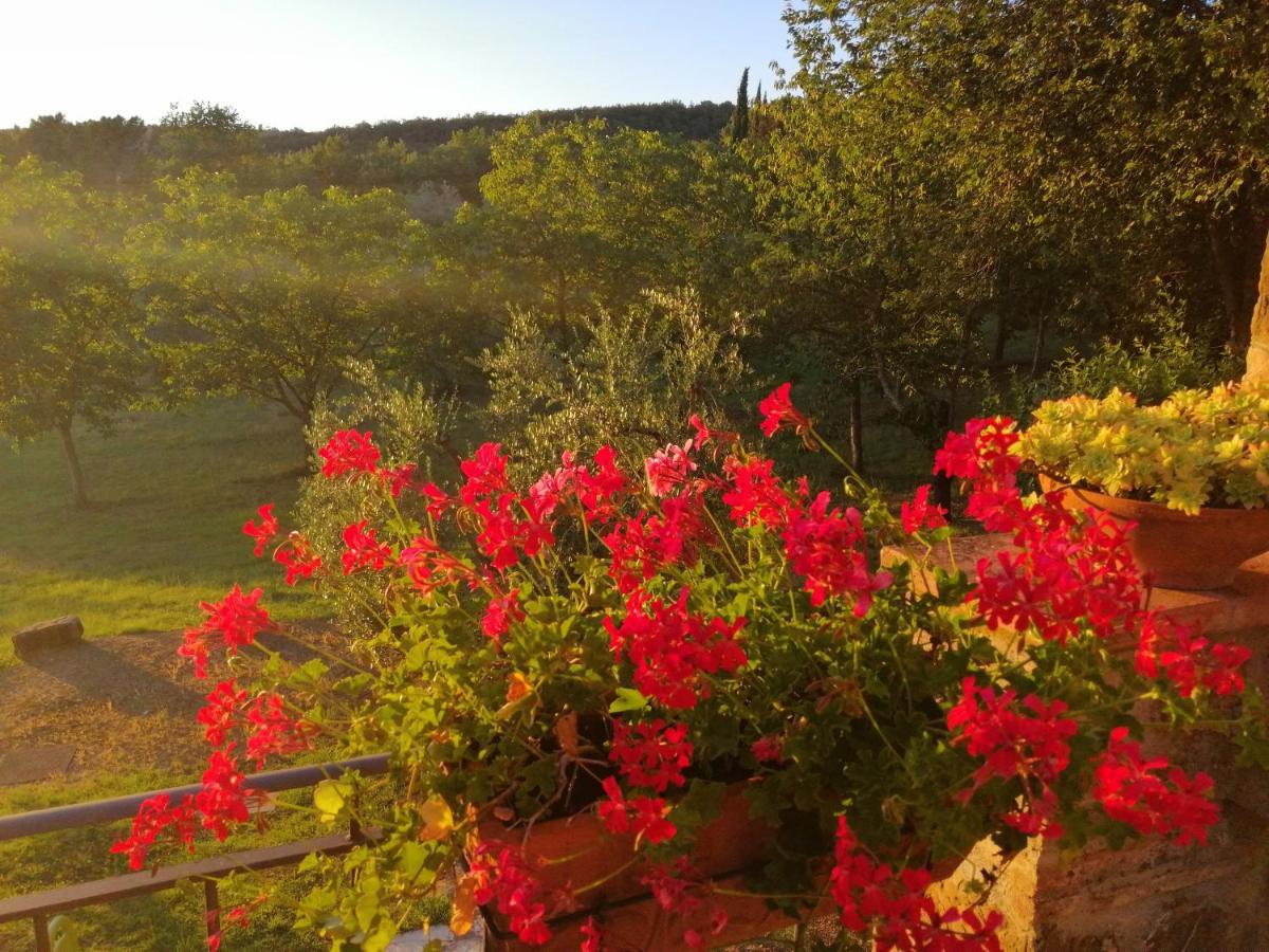 Agriturismo Sommassa 基安蒂格雷夫 外观 照片