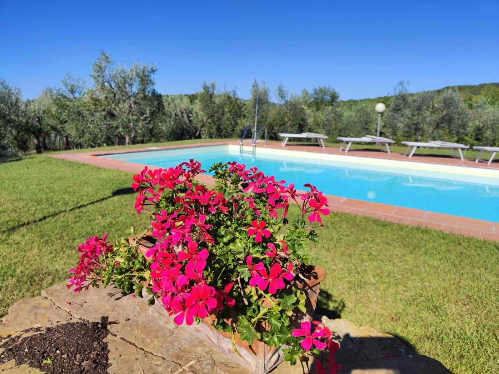 Agriturismo Sommassa 基安蒂格雷夫 外观 照片